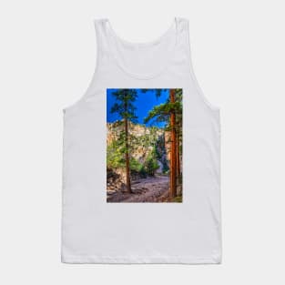 Lick Wash Trail Hike Tank Top